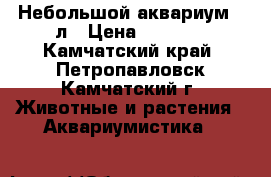 Небольшой аквариум 30л › Цена ­ 1 600 - Камчатский край, Петропавловск-Камчатский г. Животные и растения » Аквариумистика   